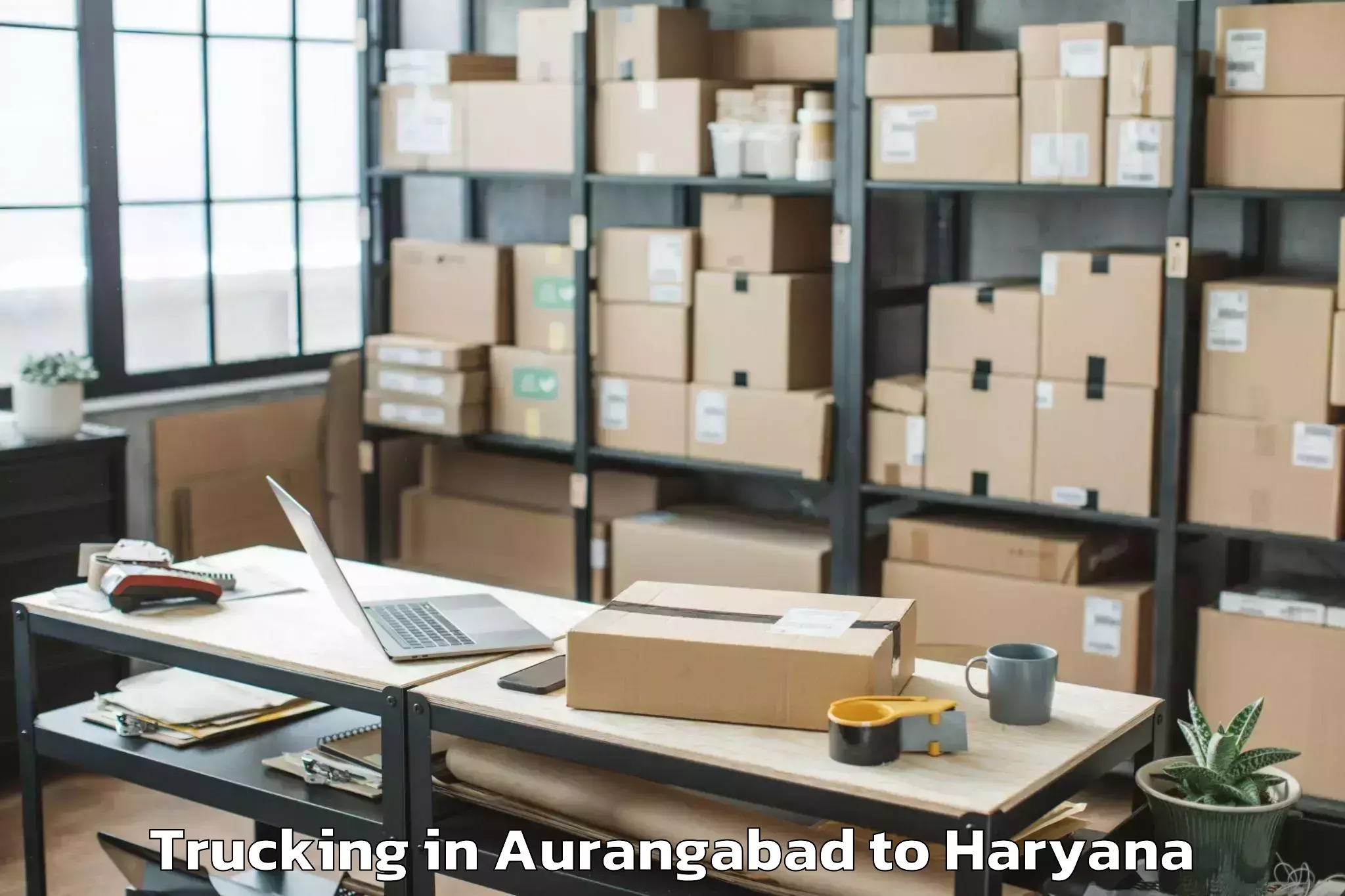 Book Aurangabad to Uklana Trucking Online